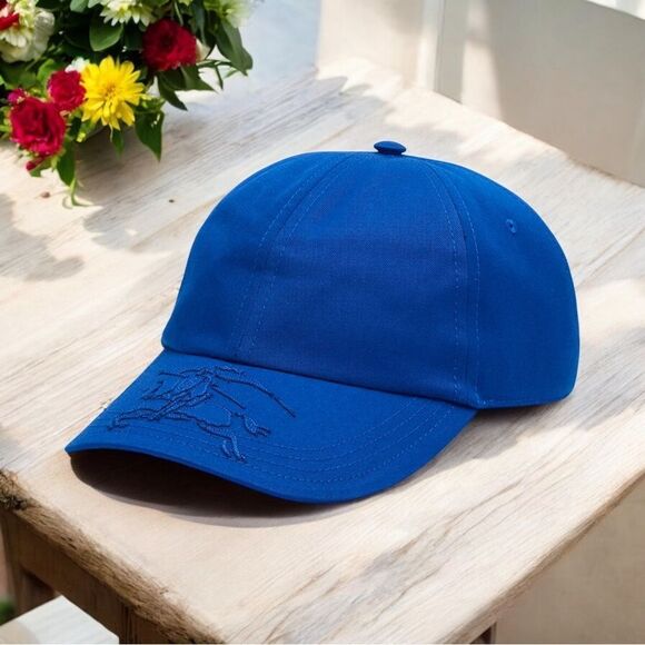 NWT Burberry Tonal Baseball Cap - Picture 1 of 5